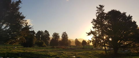 BRAND NEW Cozy Cabin In The Paddocks - Accommodation New Zealand 2