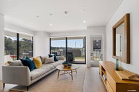 Brand New Lux 3 Bedroom Apartment- Albany Central