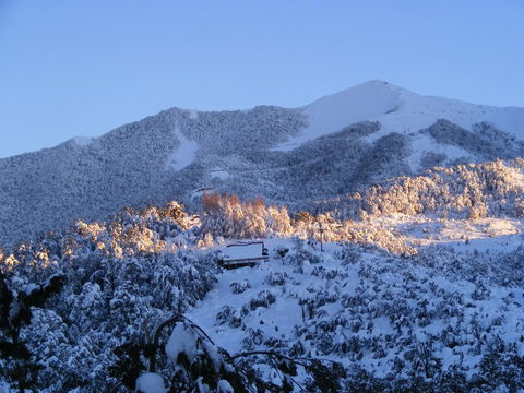 Brattdal - Accommodation New Zealand 3