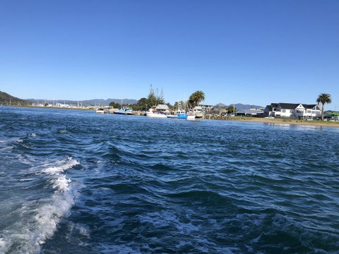 Buffalo Beach Luxury B N B - Accommodation New Zealand 1