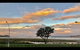 Buffalo Beach Luxury B N B - thumb 3