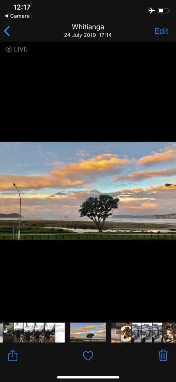 Buffalo Beach Luxury B N B - Accommodation New Zealand 3