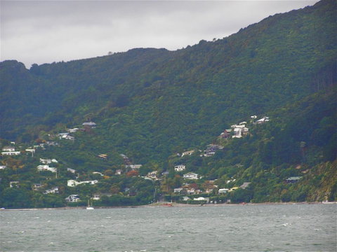 Bush House - Accommodation New Zealand 1