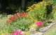By The Park B & B - thumb 3