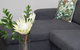 BY THE SEA ON SACKVILLE - BRAND NEW APARTMENT - thumb 1