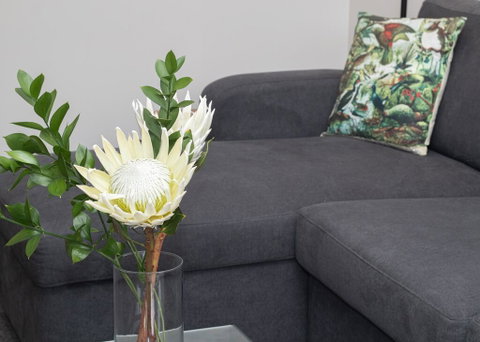 BY THE SEA ON SACKVILLE - BRAND NEW APARTMENT - Accommodation New Zealand 1