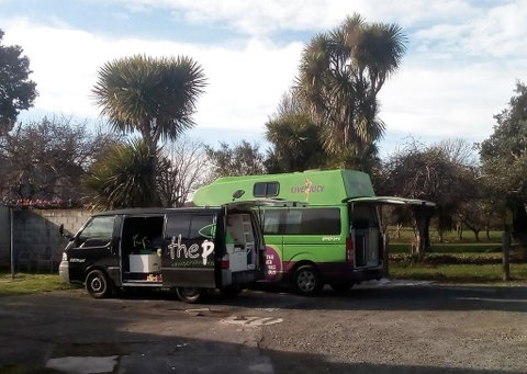 CabbageTree Villa For VanParks And Super Budget Beds, - Accommodation New Zealand 3