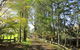 Caldera Country Lodge - thumb 0
