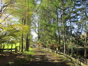 Caldera Country Lodge