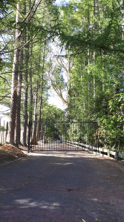 Caldera Country Lodge - Accommodation New Zealand 1