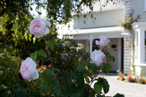Cambria House - Accommodation New Zealand 3