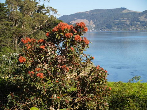 Captain Eady's Lookout - Accommodation New Zealand 2