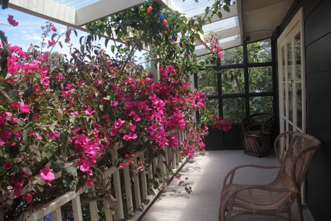 Casamatta - Accommodation New Zealand 1