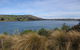 Catlins Lake Sanctuary - thumb 0