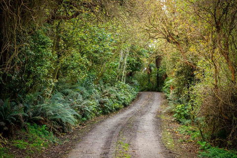 Catlins Mohua Park - Accommodation New Zealand 0