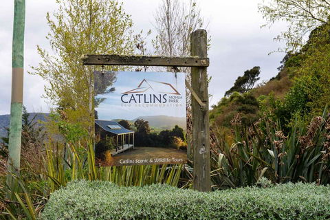 Catlins Mohua Park - Accommodation New Zealand 1