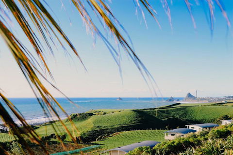 Chalets At Okurukuru - Accommodation New Zealand 0