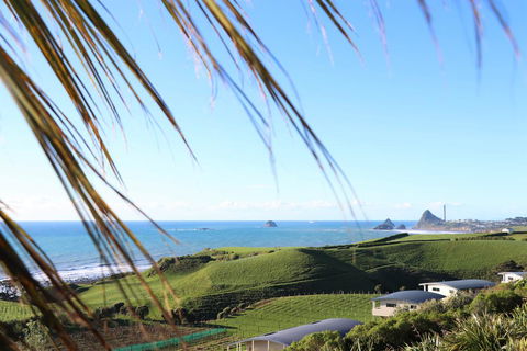 Chalets At Okurukuru - Accommodation New Zealand 1