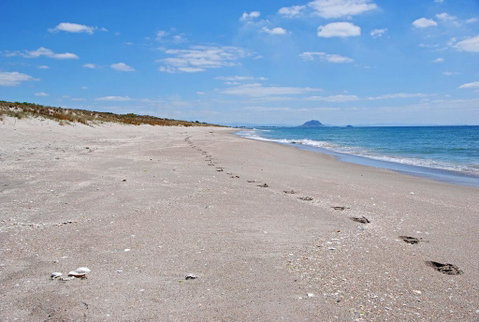 Coastal Cottage - Papamoa Holiday Home - Accommodation New Zealand 1