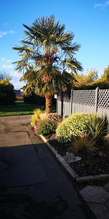 Colonial Lodge Motel - Accommodation New Zealand 3