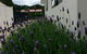 Coromandel Apartments - thumb 1