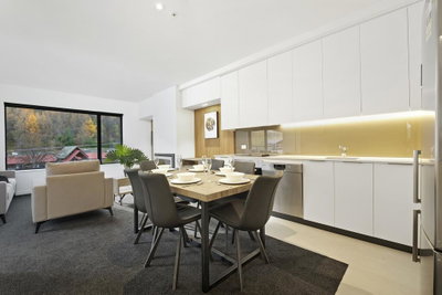 Coronet Base Apartment - Residence Du Parc, Arthur's Point Holiday Apartment