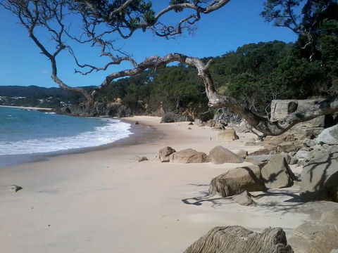 Country Homestead At Black Sheep Farm - Accommodation New Zealand 3