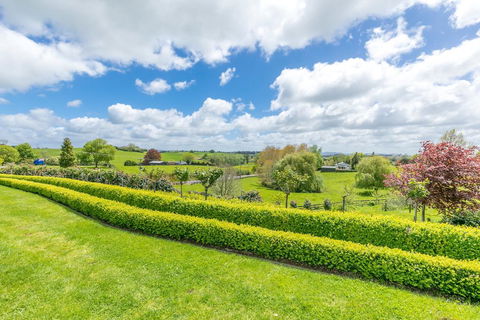 Daffodil Bed And Breakfast - Accommodation New Zealand 0