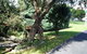 Dargaville Motel - thumb 3