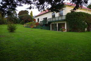 David's House