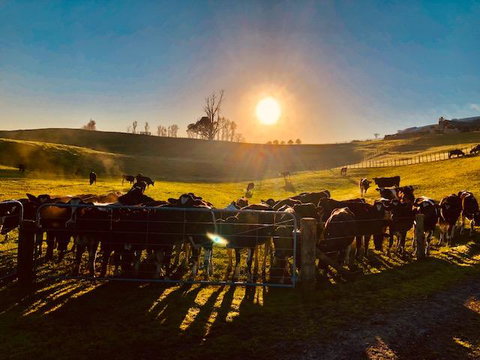 De Preaux Lodge - Accommodation New Zealand 2