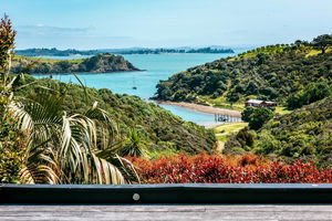 Delamore Cove - Karaka / You've Got It Maid