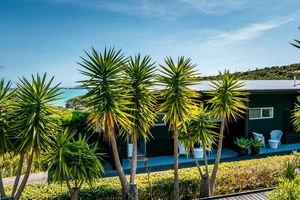 Delamore Cove - Kowhai / You've Got It Maid