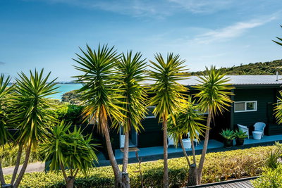 Delamore Cove - Kowhai / You've Got It Maid