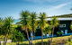 Delamore Cove - Manuka /You've Got It Maid - thumb 1