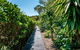 Delamore Cove - Nikau / You've Got It Maid - thumb 3