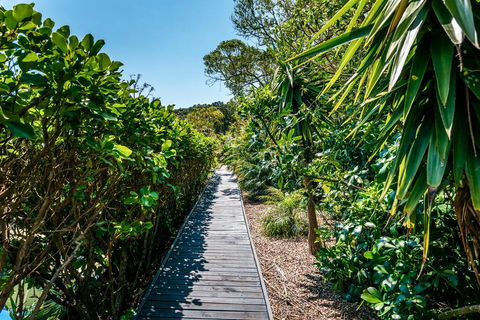 Delamore Cove - Nikau / You've Got It Maid - Accommodation New Zealand 3