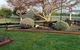 Denchys B&B - thumb 2