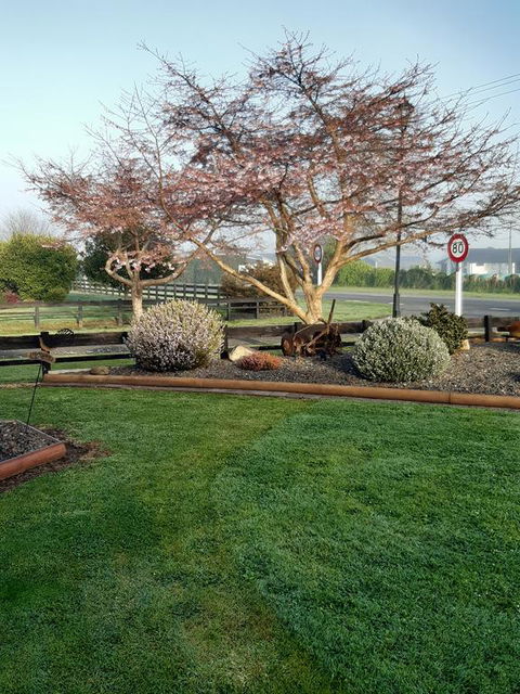 Denchys B&B - Accommodation New Zealand 2