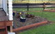 Denchys B&B - thumb 3