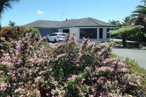 DHomestay Bed And Breakfast - Accommodation New Zealand 2