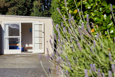 Dolphin Lodge - Accommodation New Zealand 1