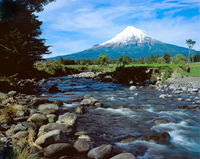 Egmont Eco Leisure Park  Backpackers