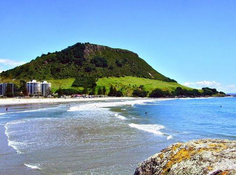 Eleven_at_Mauao - Accommodation New Zealand 0