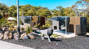 Ember Rock - Lions Den