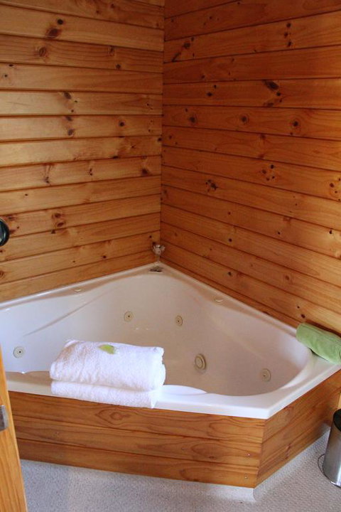 Fox Glacier Lodge - Accommodation New Zealand 3