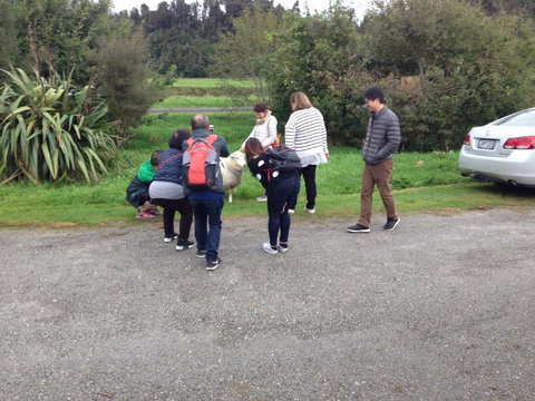 Franz Country House - Accommodation New Zealand 2