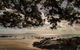 Freemans At Mangawhai Heads - thumb 2
