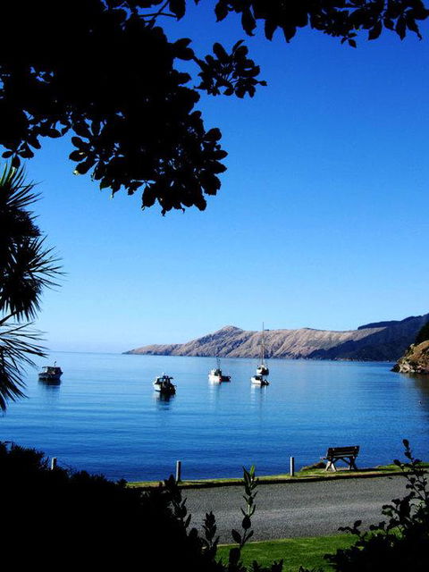 French Pass Beachfront Villas - Accommodation New Zealand 3