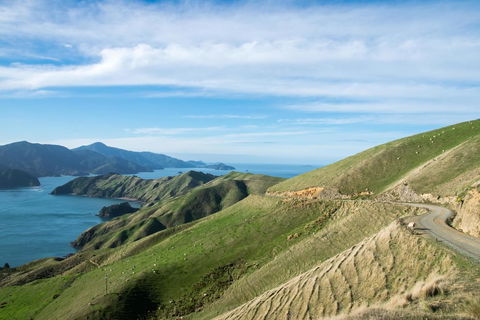 French Pass Beachfront Villas - Accommodation New Zealand 1